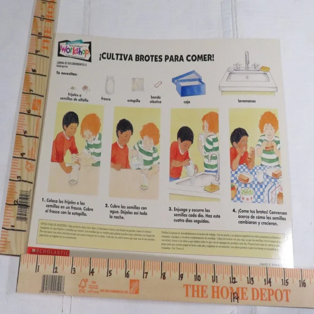 Scholastic English Spanish (10) Task Cards / Job Cards Classroom or Homeschool